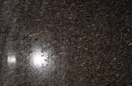 皇(huang)室(shi)啡(fei)米(mi)粒蘤(hua)