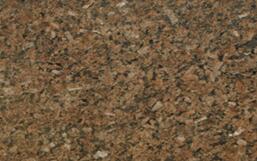 皇室(shi)啡黃底(di)